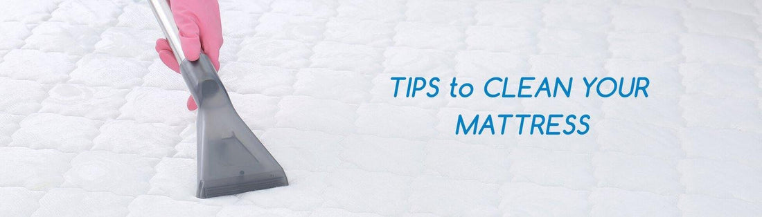 Tips to Clean Your Mattress - Durfi Retail Pvt. Ltd.